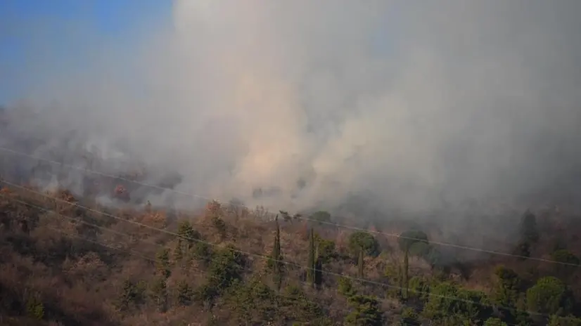 Vigili del Fuoco e volontari in Maddalena per circoscrivere l'incendio