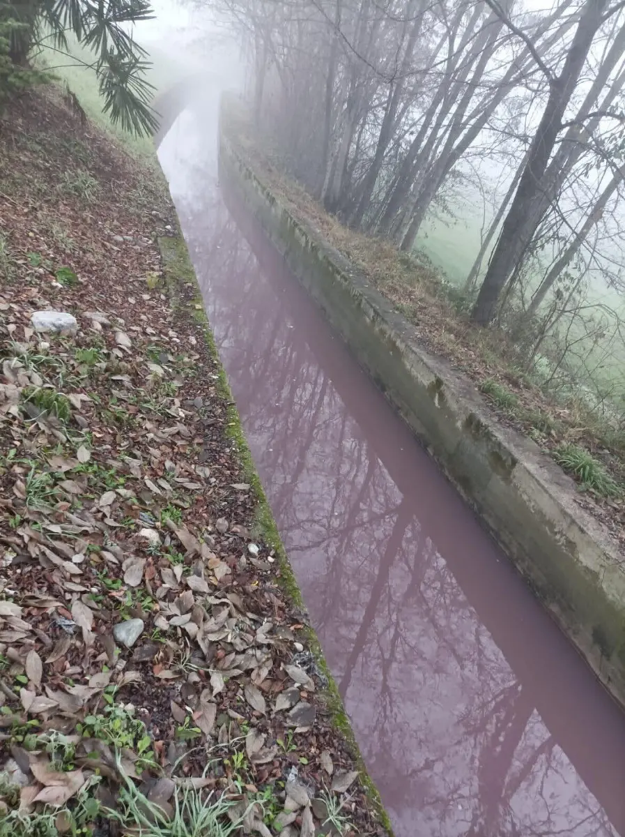 La roggia a Vighizzolo