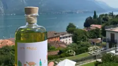 Il gin Mario - Foto Instagram