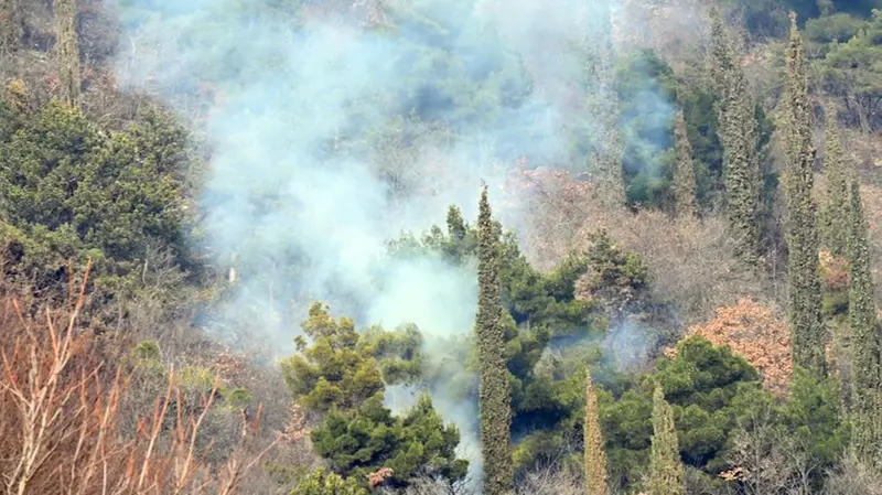 In fumo sabato pomeriggio 700 metri quadrati di bosco - Foto Gabriele Strada/Neg © www.giornaledibrescia.it