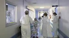 Personale ospedaliero in tenuta anti-Covid - Foto Ansa © www.giornaledibrescia.it