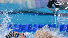 Nella finale mondiale in vasca corta, Michele Lamberti è arrivato quinto nei 50 dorso - Foto Giorgio Perottino / Deepbluemedia / Insidefoto