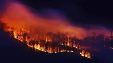 L'incendio divampato in Valcamonica il 2 febbraio - © www.giornaledibrescia.it