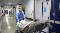 Un paziente Covid viene trasferito in ospedale - Foto Ansa © www.giornaledibrescia.it