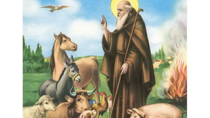 Sant'Antonio Abate circondato dagli animali della fattoria