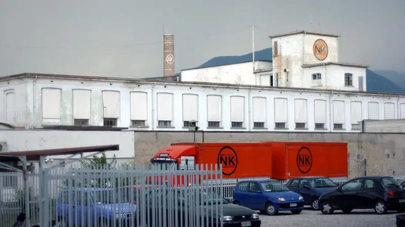 Lo stabilimento NK a Capriolo - © www.giornaledibrescia.it