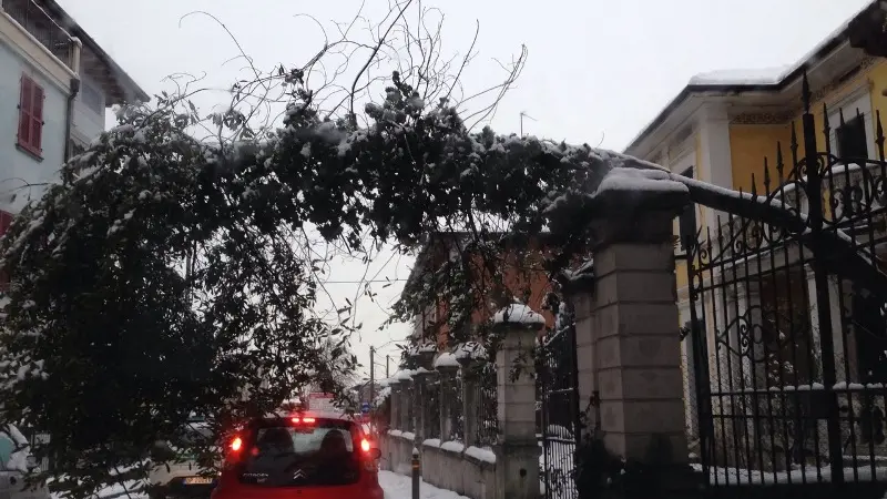 A Brescia strade innevate e alberi piegati dal manto nevoso (foto di repertorio) © www.giornaledibrescia.it