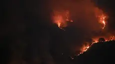 I boschi del Monte Maddalena hanno bruciato per tutta la notte di lunedì - © www.giornaledibrescia.it
