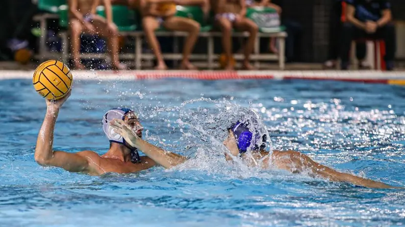 Un momento di un match della Brescia Waterpolo di serie A2 di pallanuoto - Foto Newreporter Nicoli © www.giornaledibrescia.it