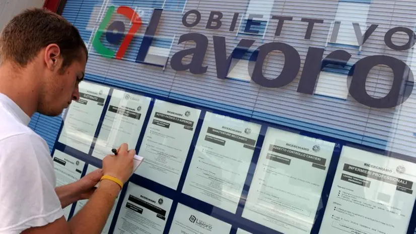 Un ragazzo guarda gli annunci di lavoro - Foto © www.giornaledibrescia.it