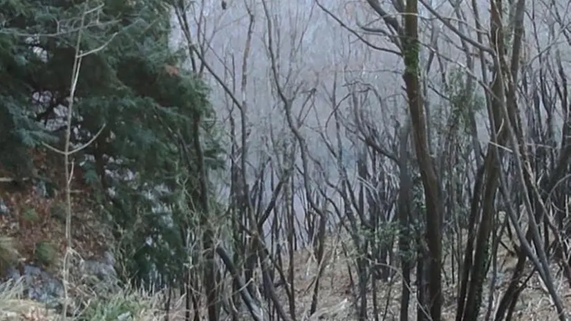 Il luogo della caduta