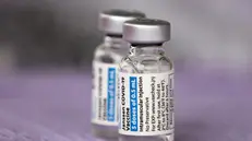 Il vaccino Johnson&Johnson - Foto Ansa  © www.giornaledibrescia.it