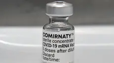 Una dose di vaccino Pfizer-Comirnaty - Foto Ansa © www.giornaledibrescia.it