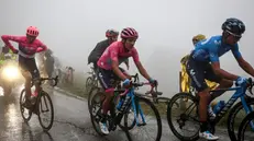 Giro d'Italia al Mortirolo nel 2019 - Foto New Reporter Nicoli © www.giornaledibrescia.it