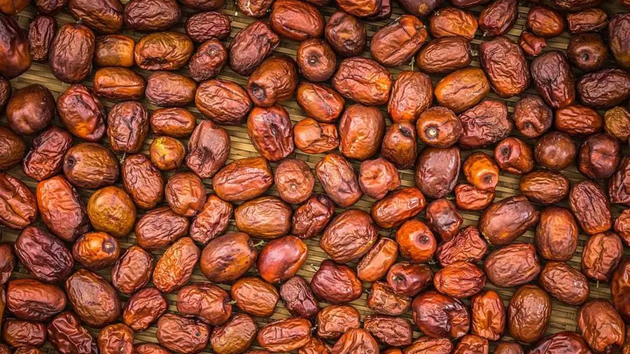 Le giuggiole sono frutti autunnali