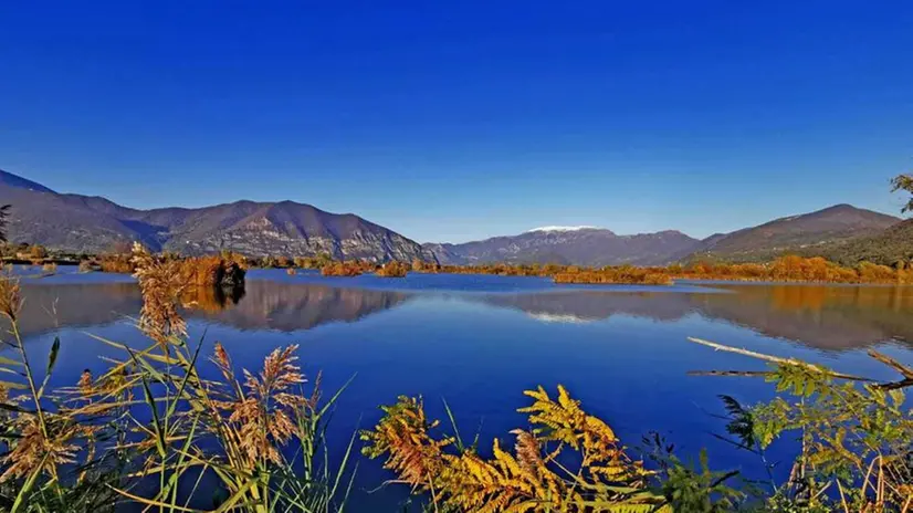 Lo spettacolo delle Torbiere in autunno