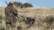 Un cacciatore con il suo cane