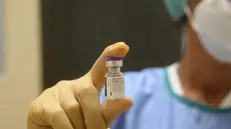 Una dose di vaccino - © www.giornaledibrescia.it