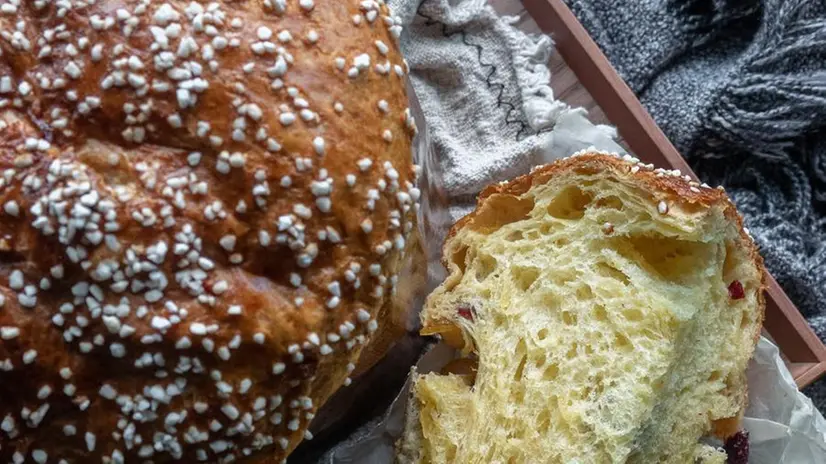 Un panettone coi canditi: quest'anno il prezzo rischia di lievitare