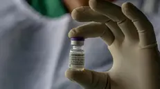 Una fiala del vaccino Pfizer-BioNTech - Foto Ansa/Chamila Karunarathne © www.giornaledibrescia.it