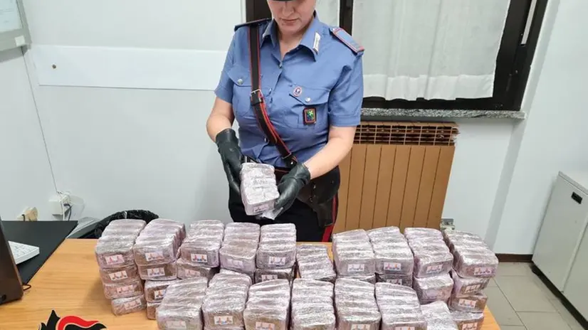 La droga sequestrata dai carabinieri di Breno