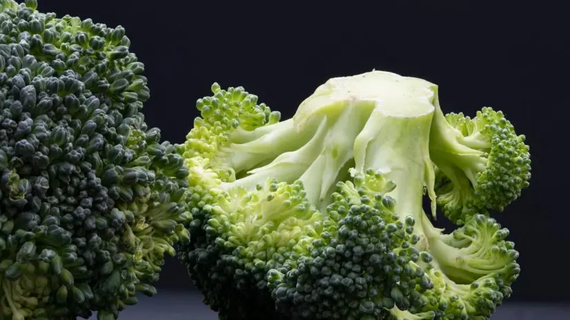 Broccolo rapino, dettaglio