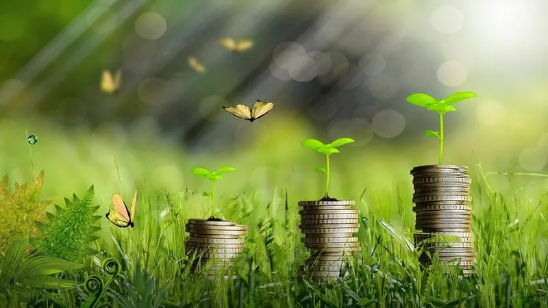 Il rendimento dei green bond è stato fissato allo 0,453%