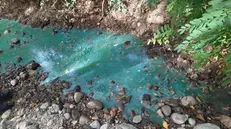 Il corso d'acqua inquinato a Bedizzole