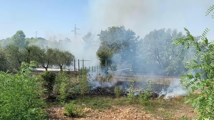 La baracca è stata distrutta dalle fiamme - © www.giornaledibrescia.it