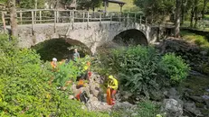 I soccorsi al Ponte Agro a Lavenone - Foto © www.giornaledibrescia.it