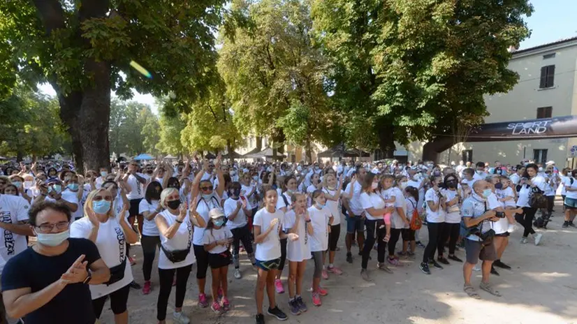 Zebra run 2021