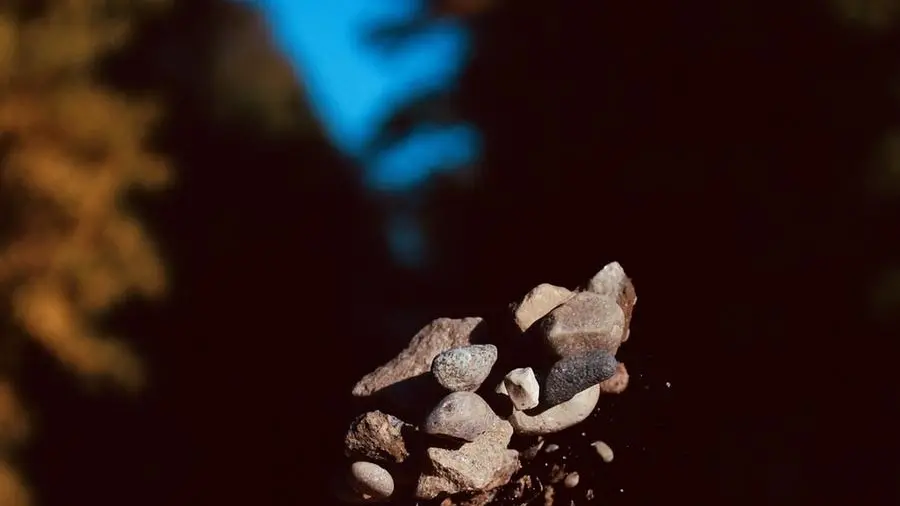 Un ventenne è diventato famoso su Tik Tok per essere un lanciatore di sassi a pelo d’acqua