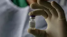 Una fiala di vaccino Moderna - Foto Epa © www.giornaledibrescia.it