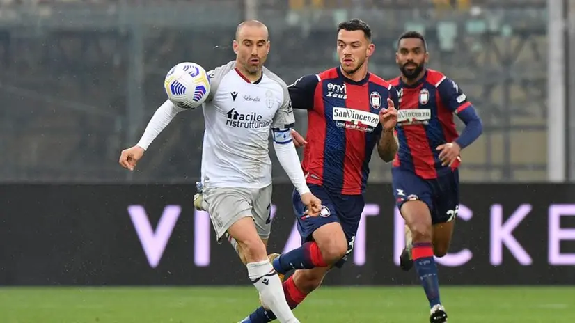 Rodrigo Palacio con la maglia del Bologna