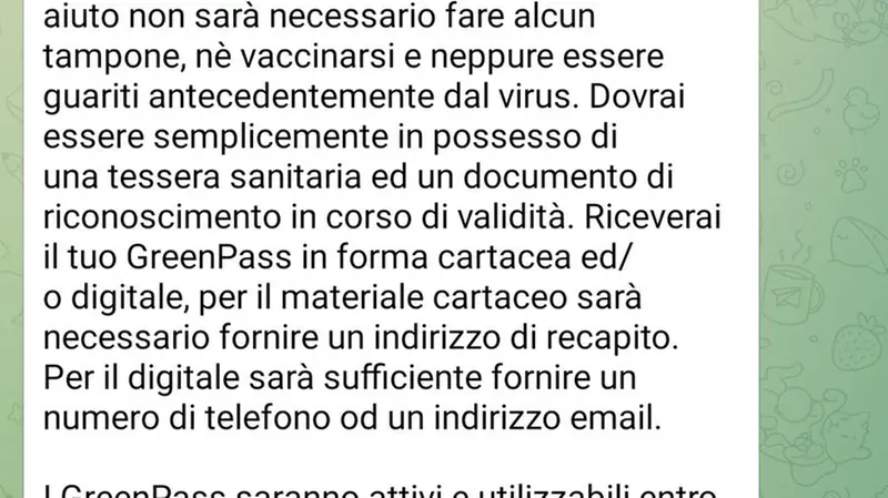 I messaggi di spiegazione in alcune chat Telegram per i Green Pass Falsi