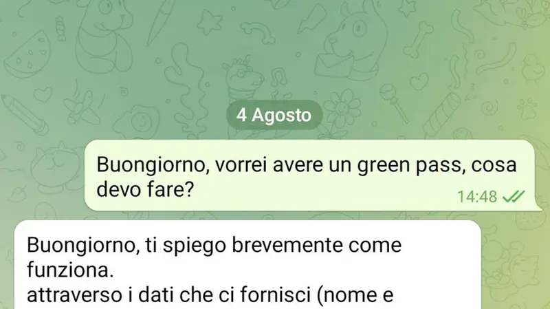 I messaggi che abbiamo scambiato con i referenti delle chat Telegram