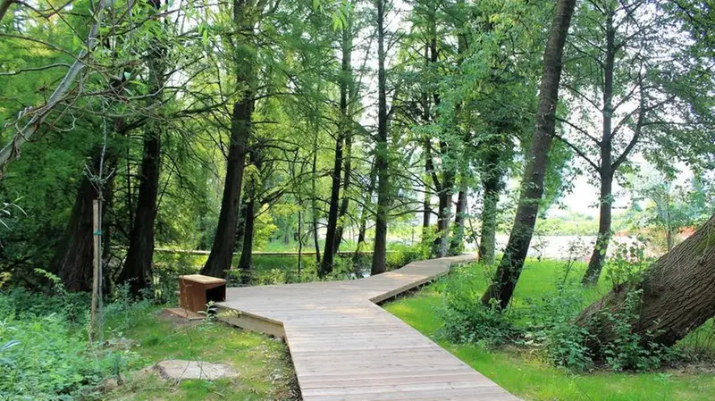 Il bosco dei tassodi a Paratico