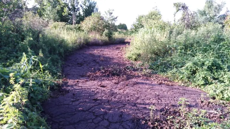 Il fiume di letame nascosto nella campagna di Pavone Mella