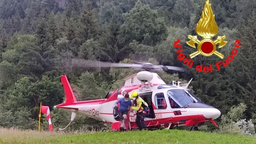Cane morso alla lingua da una vipera, soccorso dall'elicottero dei Vvf