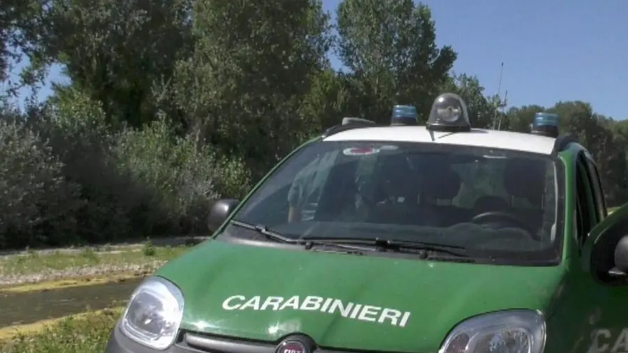 I Carabinieri forestali sono intervenuti a Muscoline - © www.giornaledibrescia.it
