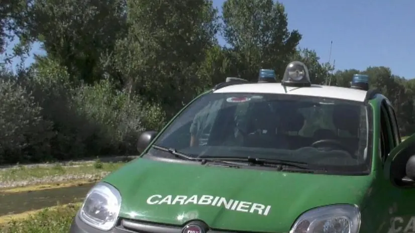 I Carabinieri forestali sono intervenuti a Muscoline - © www.giornaledibrescia.it