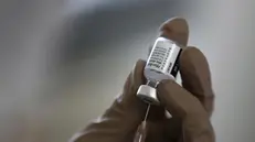 Una fiala di vaccino Pfizer-Biontech - Foto Epa © www.giornaledibrescia.it