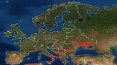 Un'immagine satellitare del Fire Information for Resource Management System della Nasa mostra i roghi in Europa