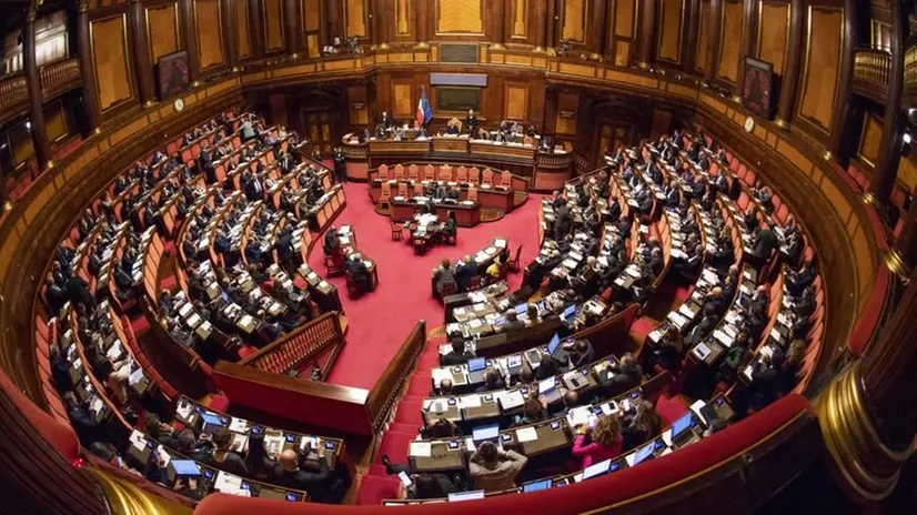 Il Senato - Foto Ansa/Maurizio Brambatti © www.giornaledibrescia.it