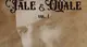 La cover di «Tale & Quale » di Charlie Cinelli