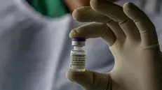 Un flacone di vaccino anti-Covid Pfizer-Biontech - Foto Epa © www.giornaledibrescia.it
