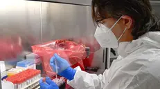 Tecnico di laboratorio