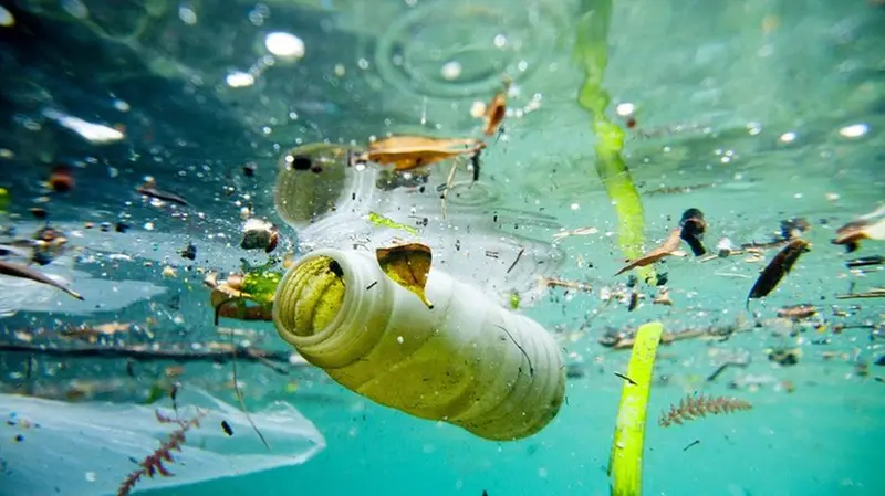 Rifiuti di plastica nel mare