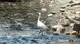 Il fiume Garza nel tratto scoperto per i lavori