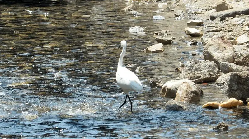 Il fiume Garza nel tratto scoperto per i lavori